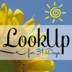 Look Up for 31 Days series by Pearl Allard