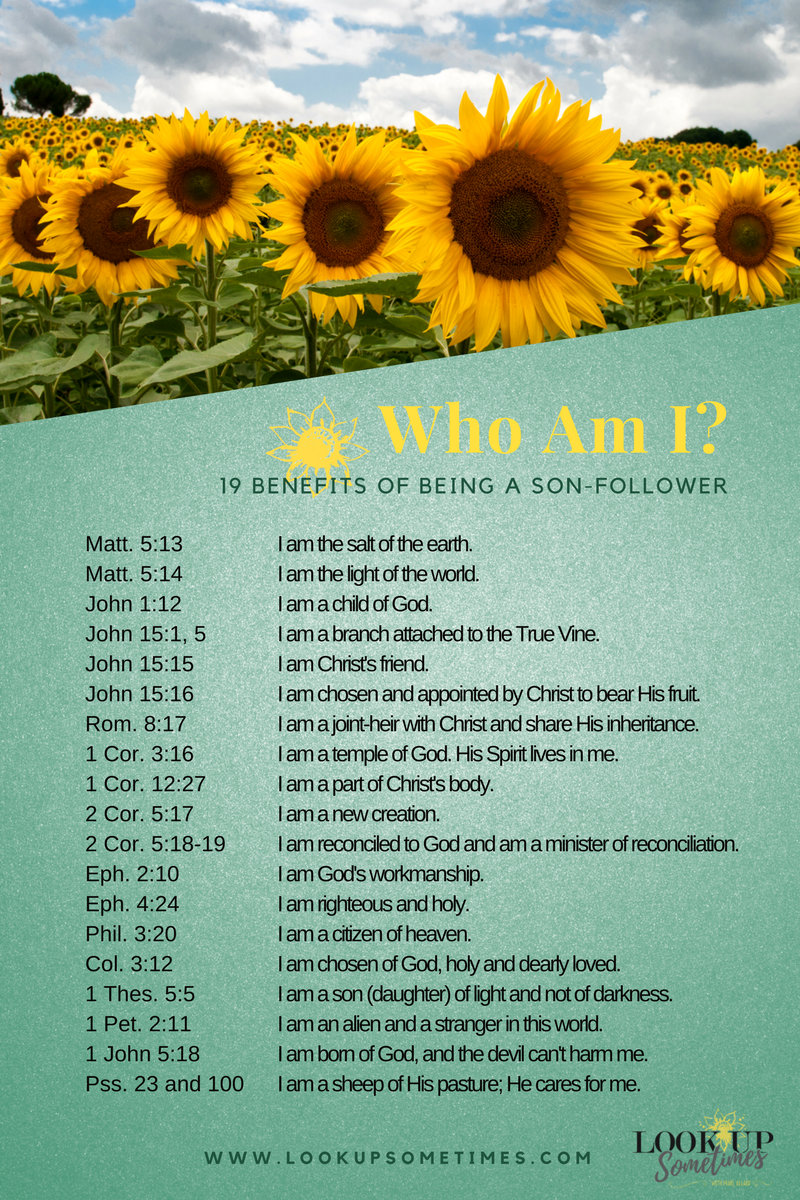 19 Benefits of Being a Son-Follower by Pearl Allard (Look Up Sometimes)
