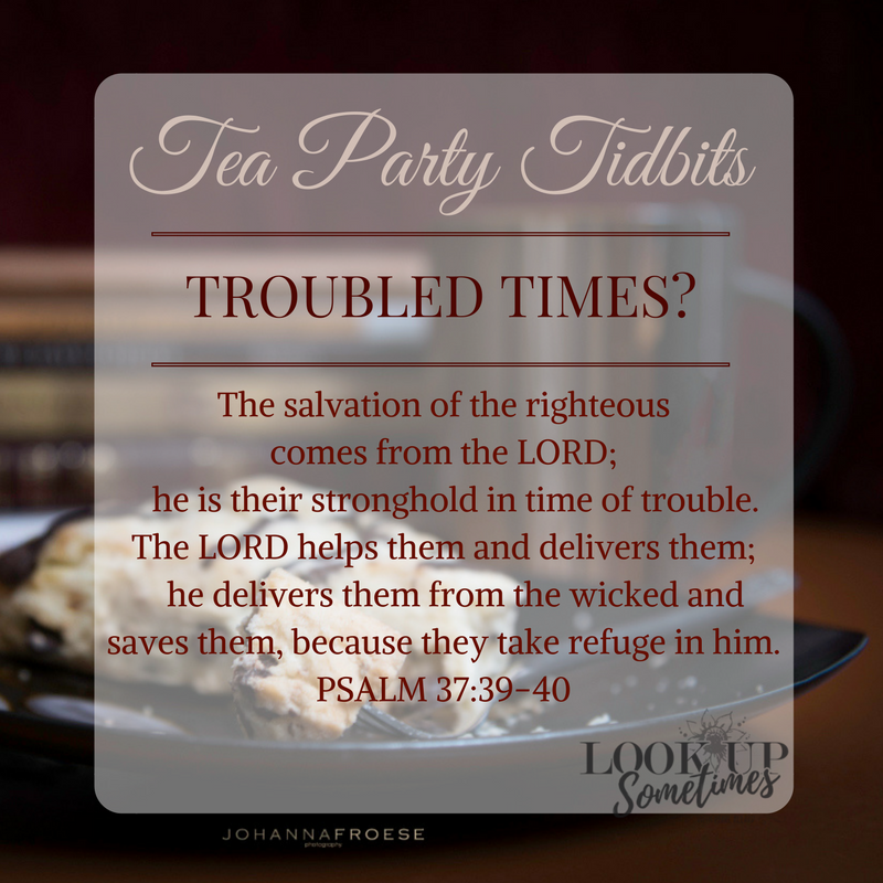 Tea Party Tidbits 14 - Troubled Times by Pearl Allard (Look Up Sometimes)