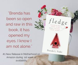 Fledge by Brenda L. Yoder (Pearl Allard - Look Up Sometimes)