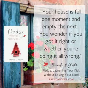 Fledge by Brenda L. Yoder (Pearl Allard - Look Up Sometimes)