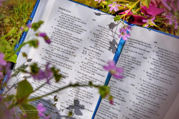 #4 How to Nourish Your Soul & Be Happy in the Lord by guest author Debbie Scales (Look Up Sometimes) Photo Credit: Johanna Froese Photography