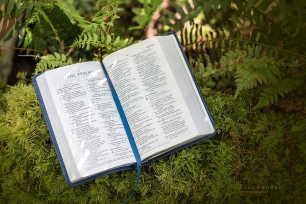 Bible in ferns Photo Credit: Johanna Froese Photography (Look Up Sometimes - Pearl Allard) guest post by Liz Petruzzi How to Nourish Your Soul and Be Happy in the Lord - SOAP journaling
